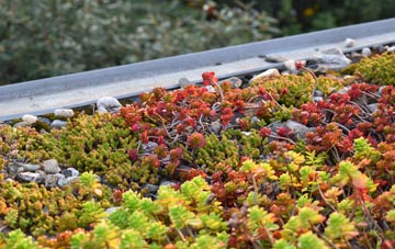 the cost of Mushroom Green green roof installation