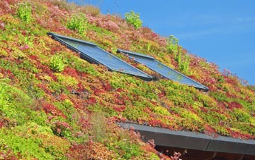 Mushroom Green living roof systems